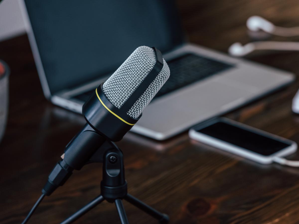 Gato ou cachorro: o que diz o seu signo sobre essa escolha?